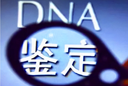 嘉兴入学DNA亲子鉴定机构到哪，嘉兴入学亲子鉴定怎么做