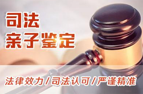 嘉兴司法DNA鉴定怎么做,