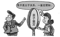 嘉兴想做私密亲子鉴定怎么做，嘉兴想办理个人亲子鉴定详细流程及材料