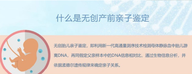 嘉兴孕期亲子鉴定正规机构去哪里,嘉兴孕期的亲子鉴定准确吗 嘉兴孕期亲子鉴定正规机构去哪里,嘉兴孕期的亲子鉴定准确吗