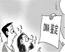 嘉兴司法DNA鉴定怎么做【免费咨询】
