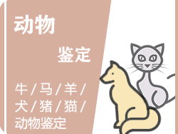 嘉兴动物鉴定