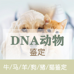 嘉兴动物鉴定